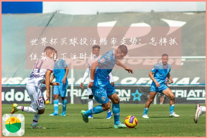 世界杯买球投注赔率走势：怎样抓住最佳下注时机