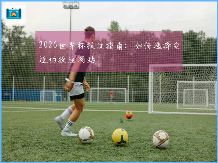 2026世界杯投注指南：如何选择合适的投注网站